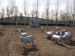 -九十九顶毡房(阜石路店)