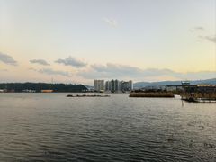 -洱海月湿地公园