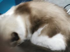 -零纪元VR体验馆·桌游(黄浦店)