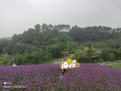 -黄龙溪欢乐田园