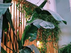 -周三的情书花园餐厅(江北店)
