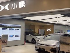 -小鹏汽车(上海静安大融城店)