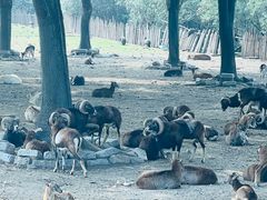 -上海野生动物园