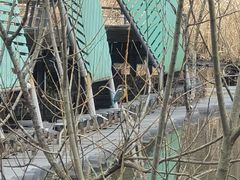-西湖风景区-江洋畈生态公园