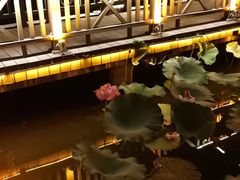 -上海市保健医疗中心(华东疗养院)
