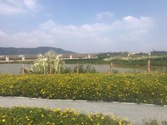 -光明小镇欢乐田园