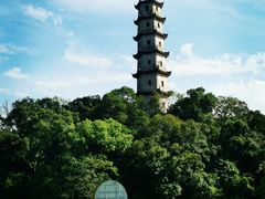 -江心屿景区