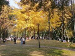 -温江公园