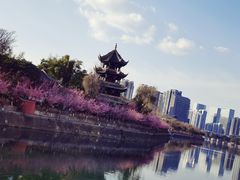 -望江楼公园
