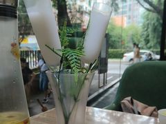 -探窝·竹笙椰子鸡(杨箕店)