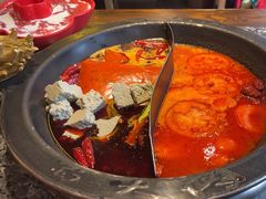 -蜀大侠火锅(总府路店)