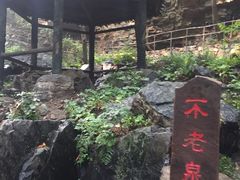 -九龙潭景区