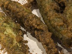 -顶特勒·黄鱼馆·特色菜(上海大世界店)