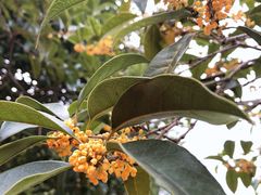 -杭州城北体育公园