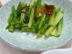 -千灯盛汇·头牌粤菜(致越优城店)