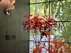 -T館·花园艺术餐厅