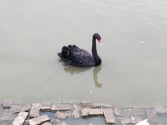 -青藏高原野生动物园