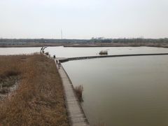 -盐城丹顶鹤湿地生态旅游区