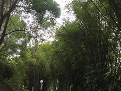 -深圳龙潭公园