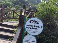 -大岭沟猕猴桃谷风景区