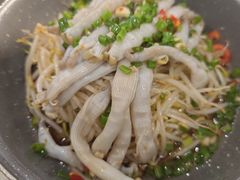-旺来排档
