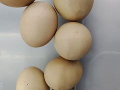 -丹水桥地锅鱼·翘嘴鲌·地方特色全鱼宴(丹江口大坝店)