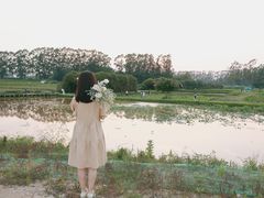 -光明小镇欢乐田园