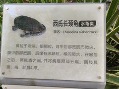 -广东惠东海龟国家级自然保护区