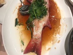 -陶陶居海鲜酒家(新马路店)