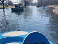 -上海共青森林公园