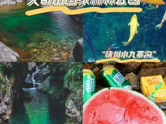 -大奇山国家森林公园