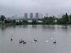 -艾溪湖湿地公园