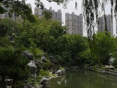 -红梅公园