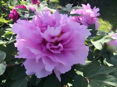 -沁园(南坪上海城店)