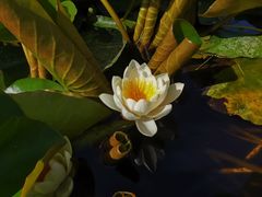 -前关湿地公园