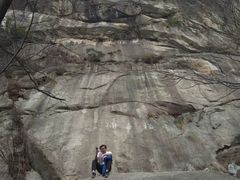 -王顺山国家森林公园