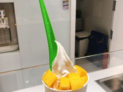 冻酸奶-Salud撒露欧洲冻酸奶(蓝色港湾店)