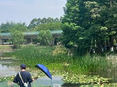 -白鹭湾湿地公园