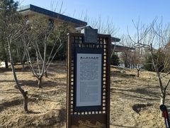 -马家湾湿地公园