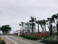 -空港花田景区