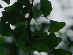 -青岛崂山太清宫