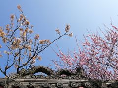 -樱桃山旅游景区