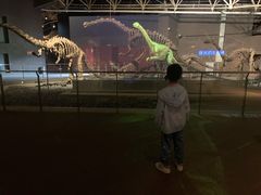 -世界恐龙谷景区