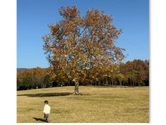 -钟山体育运动公园