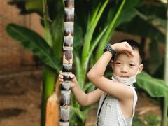 -万源龙顺度假庄园生态观光园