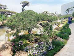 -罗红摄影艺术馆