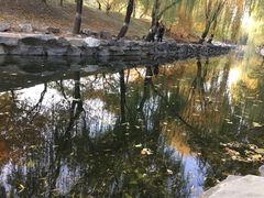-拿渡·水煮鱼 麻辣香锅(西单大悦城店)