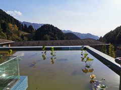 -嘉豪淮海国际豪生酒店