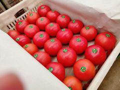 -天津金元宝滨海农产品交易市场(共发大道)