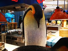 大堂-帝企鹅自助餐厅•儿童岛•真企鹅(长隆企鹅酒店)